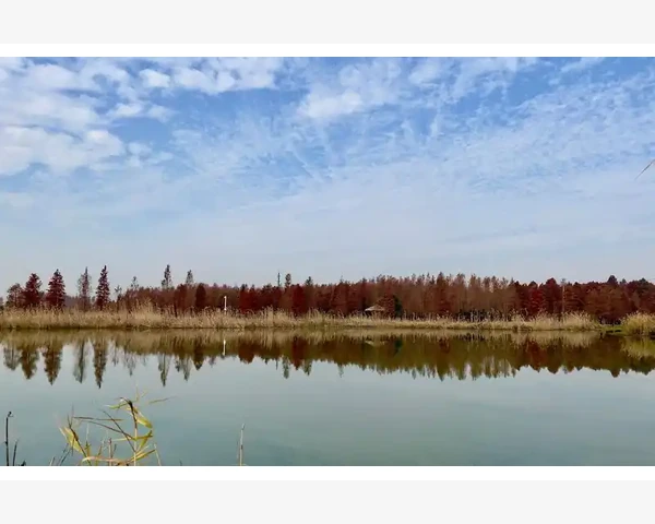 女性脾虚怎么调理食补